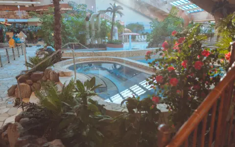 Ein tropisches Paradies im h2o schwimmbad mit Palmen, üppiger Vegetation und einem einladenden Poolbereich.