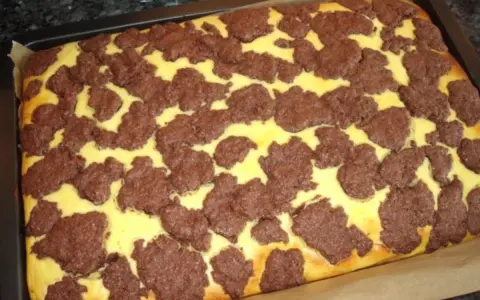 Ein frisch gebackener russischer Zupfkuchen vom Blech, mit einem gelben Teig und dunklen Schokoladenstückchen.