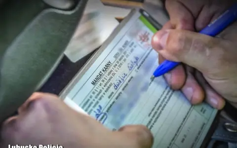 Punkty karne: Kiedy znikają? Poznaj zasady kasowania i limity!