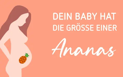 34 ssw: Dein Baby hat die Größe einer Ananas.