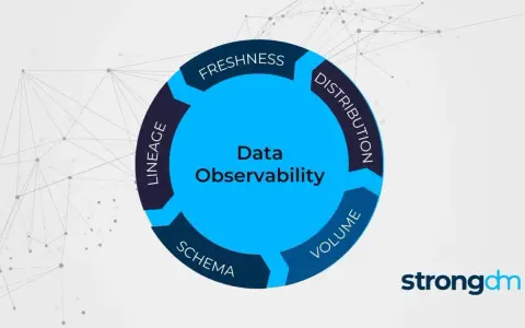 Diagram illustrating Data Observability with key components: Freshness, Distribution, Volume, Schema, and Lineage. This app metadata helps understand data health.
