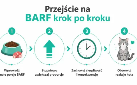 Przejście na BARF krok po kroku: małe porcje, stopniowe zwiększanie, cierpliwość i obserwacja reakcji kota. Jak karmić kota zdrowo!