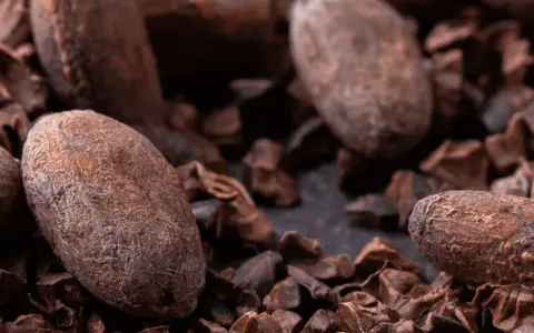 Gros plan sur des fèves de cacao et des éclats de cacao, rappelant les nombreux cacao bienfaits pour la santé.