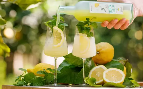 Zwei Gläser mit erfrischendem Limoncello Spritz, garniert mit Zitrone und Minze. Frische Zitronen und Blätter umgeben die Gläser.