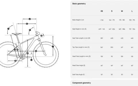 Diagram över cykelgeometri med mått i mm och tum för olika storlekar. Välj rätt cykelstorlek tum för din längd.