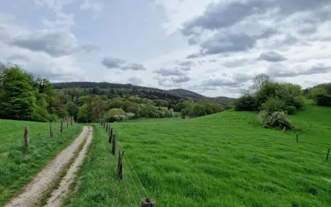 Ein schmaler Weg führt durch saftig grüne Wiesen und Wälder. Der bergweltenweg Steinhagen lädt zum Wandern ein.
