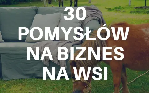 Dochodowy biznes na osiedlu: Pomysły, które pokochają sąsiedzi