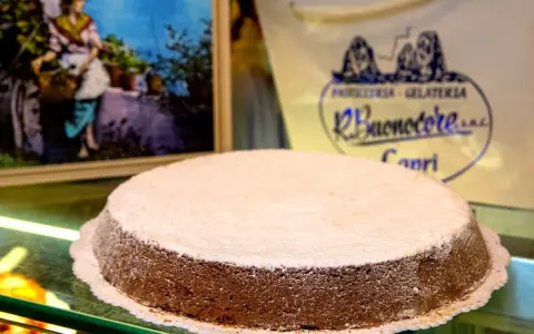 A Torta Caprese dusted with powdered sugar sits on a glass counter, with a painting and shop logo in the background.