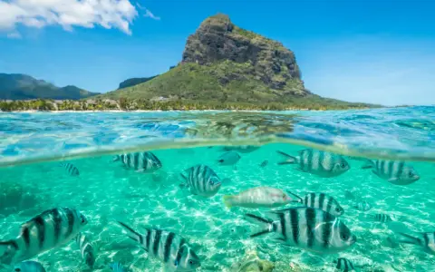 Podwodny świat z rybami i góra Le Morne Brabant na Mauritiusie. Czy na Mauritius jest bezpiecznie? Tak, to raj dla nurków.
