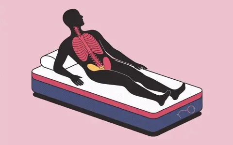 Silhouette d'une personne allongée sur un matelas mémoire de forme, montrant le squelette et les organes. Avis kiné sur le soutien.