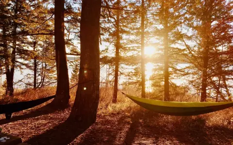 Sunlight streams through trees, illuminating two hammocks strung between them. A perfect spot to embrace how to live a simple life.