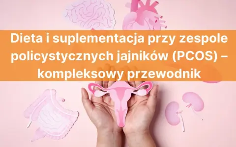 PCOS co to? Zespół policystycznych jajników – dieta i suplementacja. Grafika przedstawia narządy wewnętrzne i mózg.