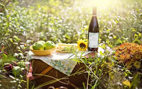 Piknik z jabłkami i butelką domowego wina. Idealny przepis na wino z jabłek 10l.