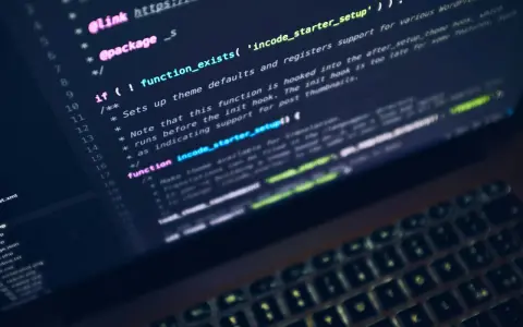Kod źródłowy z funkcją `incode_starter_setup`, która obsługuje różne funkcje WordPressa. Widać fragmenty kodu, w tym warunek `if` i komentarze, sugerujące użycie `switch case` do zarządzania logiką.