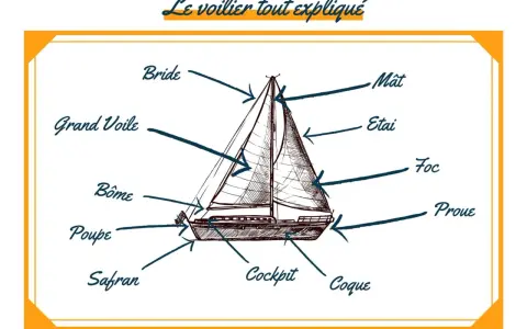 Illustration d'un voilier avec différentes parties d'un bateau étiquetées : mât, grand voile, foc, proue, poupe, safran, cockpit, coque, bôme, étai, bride.
