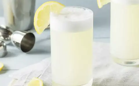 Un verre de gin fizz, garni d'une tranche de citron, prêt à être dégusté. Une recette rafraîchissante pour l'été.