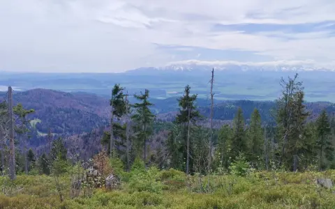 Widok z Rabki Zdrój na Tatry. W oddali majaczą ośnieżone szczyty, a bliżej zielone doliny i lasy.