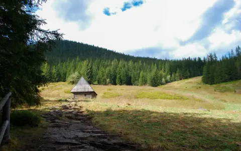 Kamienista ścieżka prowadzi do drewnianej chatki w Dolinie Olczyskiej, otoczonej gęstym lasem świerkowym i łagodnymi wzgórzami.