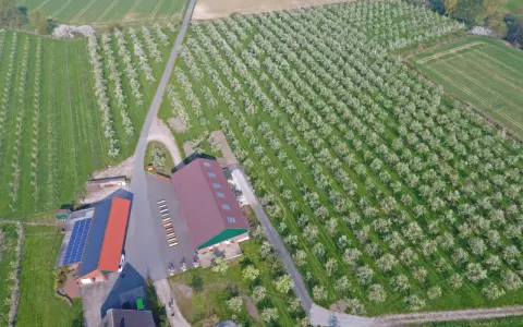Blühende Obstplantagen bei Stromberg, Oelde. Ein Hof mit Solaranlage und Lagerhallen inmitten von Reihen von Obstbäumen.