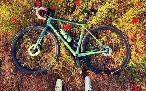 Zielony rower leży wśród maków. Idealna wysokość siodełka wzór do podziwiania natury.