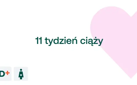 11 tydzień ciąży. D+ logo i symbol kobiety w ciąży na tle różowego serca.