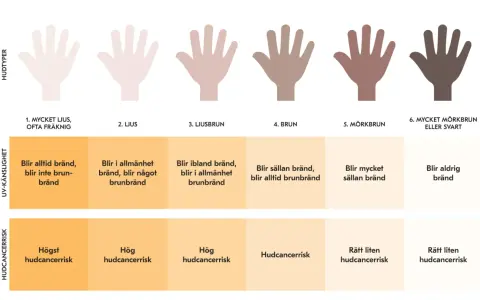 Diagram visar hudtyper och deras UV-känslighet. Vid vilket UV-index blir man brun beror på hudtyp, från ljus som bränns till mörk som blir brun.