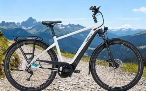 Ein weißes Pegasus E-Bike mit Gepäckträger steht auf einem Schotterweg vor einer Bergkulisse. Perfekt, um das E-Bike zu testen.