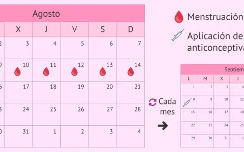 Calendario de agosto y septiembre con gotas rojas para menstruación y jeringa para anticonceptivos inyectables.