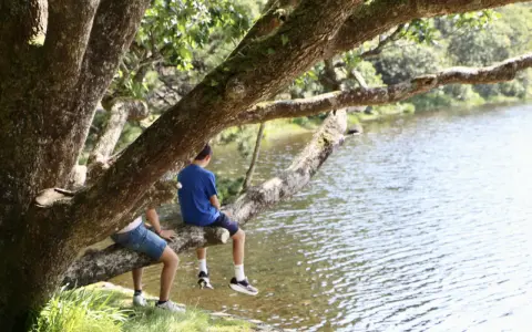 Dos niños disfrutan de un día soleado en Irlanda, sentados en una rama de árbol junto a un lago.