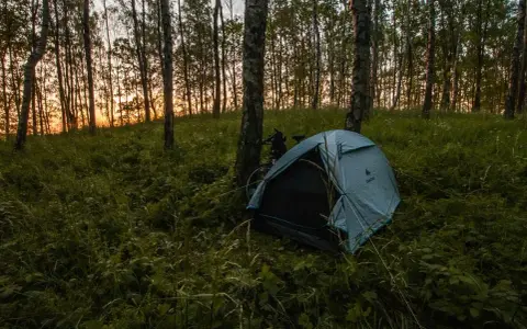 Namiot nad jeziorem, otoczony drzewami i trawą, czeka na noc. Zachód słońca maluje niebo na pomarańczowo.
