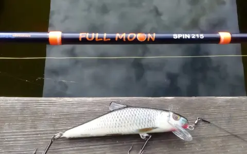 Gotowy spinning na szczupaka z brzegu: wędka "Full Moon Spin 215" i realistyczna przynęta.