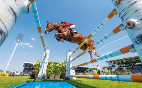 Un magnifique cheval de course brun saute par-dessus un obstacle coloré, sous un ciel bleu clair, lors d'une compétition équestre devant une foule attentive.