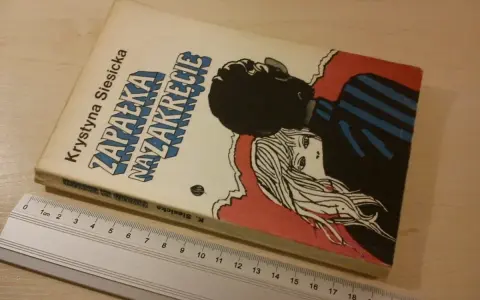 Okładka książki Krystyny Siesickiej "Zapałka na zakręcie" z rysunkiem pary.