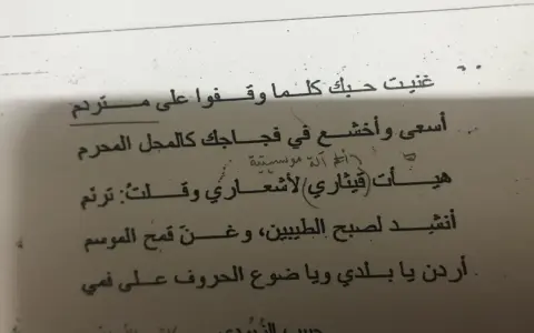 Arabische Gedichte auf einer Seite. Ein Vers lautet: "Ich sang deine Liebe, wann immer sie auf einem Hügel standen.