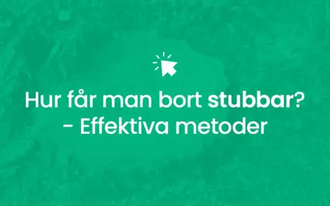 Hur får man bort stubbar? Effektiv metod för att ta bort stubbar.