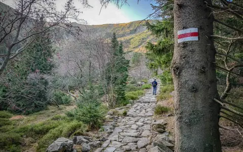 Kamienista ścieżka w górach, oznaczona czerwonym szlakiem na drzewie, prowadzi turystę w stronę Śnieżki.