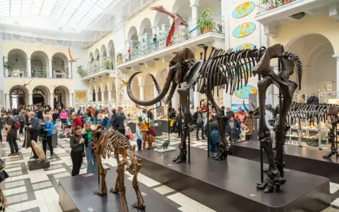 Muzeum Przyrodnicze w Warszawie to świetne miejsce, by dowiedzieć się, co zwiedzić w Warszawie z dziećmi. Szkielety mamutów i dinozaurów robią wrażenie!