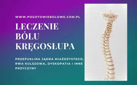 Model kręgosłupa, leczenie bólu kręgosłupa, przepuklina jądra miażdżystego, rwa kulszowa, dyskopatia.
