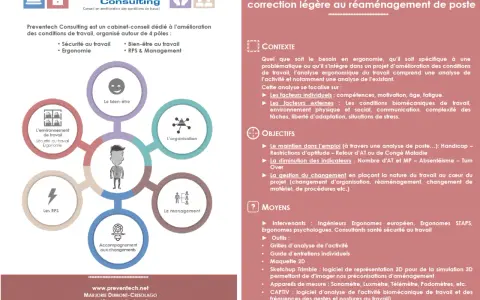 Schéma illustrant une analyse ergonomique d'un poste de travail, centrée sur l'individu et ses interactions avec l'environnement, l'organisation et le management.