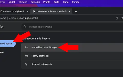 Ustawienia autouzupełniania i haseł w przeglądarce Chrome. Wskazane opcje to "Autouzupełnianie i hasła" oraz "Menedżer haseł Google".