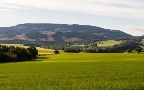Zielone pola i lasy u podnóża Gór Opawskich. Atrakcje przyrodnicze tego regionu zachwycają o każdej porze roku.