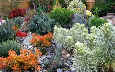 Un giardino moderno con piante grasse dai colori vivaci e forme scultoree, un'oasi di design e natura.