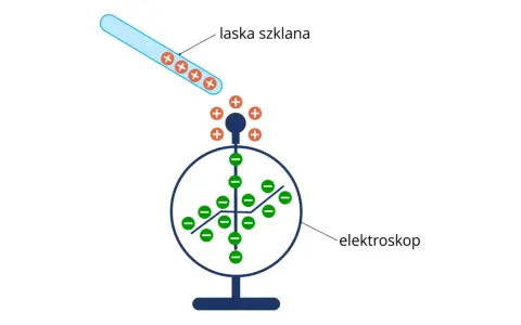 Szklana laska z ładunkami dodatnimi zbliża się do elektroskopu, powodując rozdzielenie ładunków w jego wnętrzu.