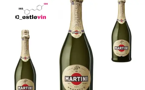 Prosecco: Jakie to wino? Rodzaje, smaki, sekrety przewodnik!