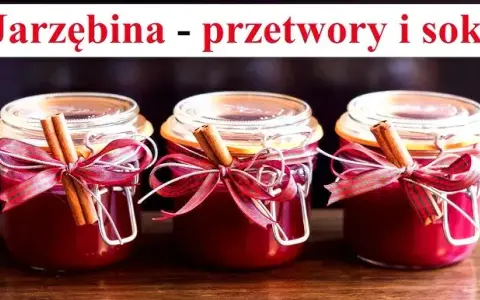 Jak zrobić sok z jarzębiny, aby uniknąć goryczy i cieszyć się smakiem