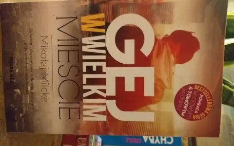 Okładka książki "Gej w wielkim mieście" Mikołaja Mićke. Zabawne przygody geja z małego miasteczka.