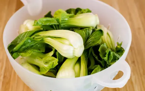 Frischer Pak Choi in einem Sieb, bereit zum rohen Essen. Knackig und grün, eine gesunde Ergänzung für jede Mahlzeit.