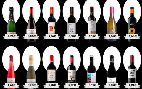 Variedad de vinos famosos en oferta, desde espumosos hasta tintos y rosados, con precios que van desde 2,69€ hasta 9,76€.