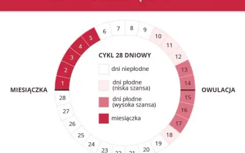 Ile dni trwa miesiączka? Kiedy okres jest za krótki, a kiedy za długi?