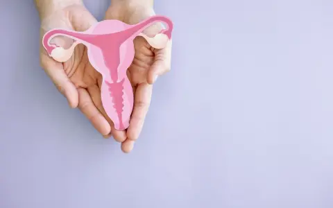 Dłonie trzymają model macicy, symbolizujący troskę o zdrowie kobiety, w tym skracanie szyjki macicy w 2 trymestrze.
